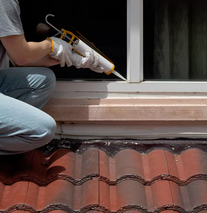 Roof Window Services in Citrus Park, Florida