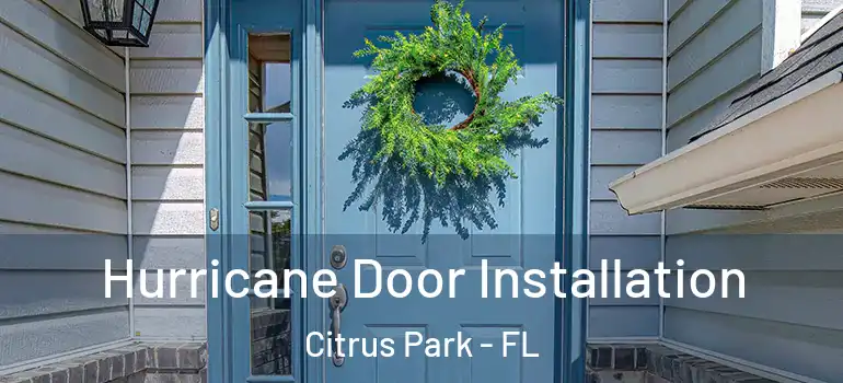 Hurricane Door Installation Citrus Park - FL