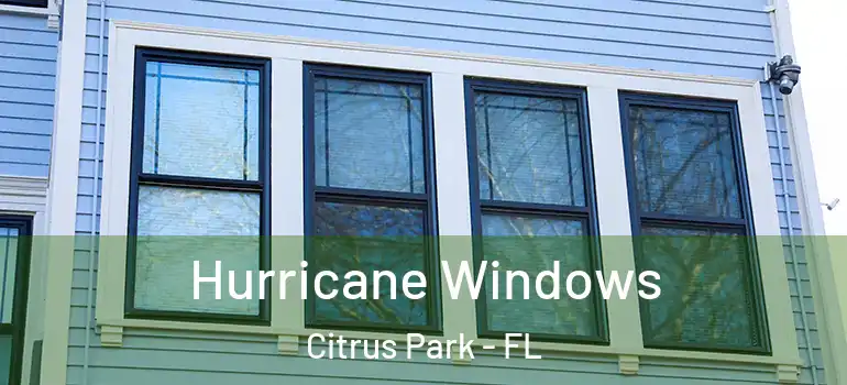 Hurricane Windows Citrus Park - FL