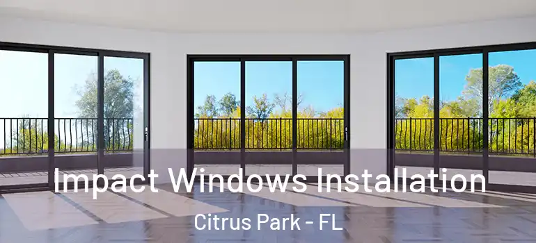 Impact Windows Installation Citrus Park - FL