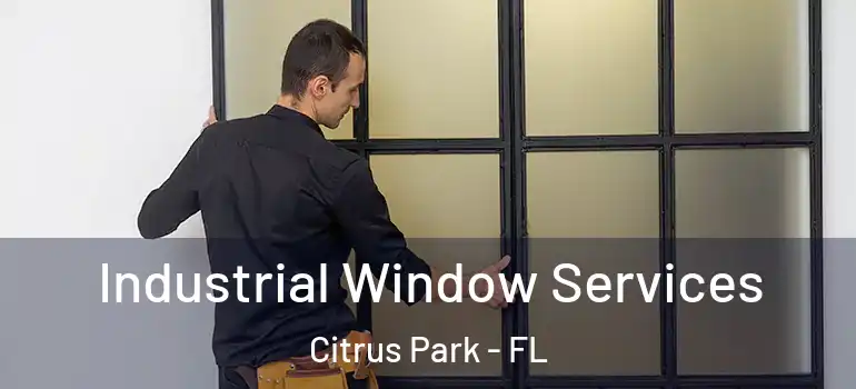 Industrial Window Services Citrus Park - FL