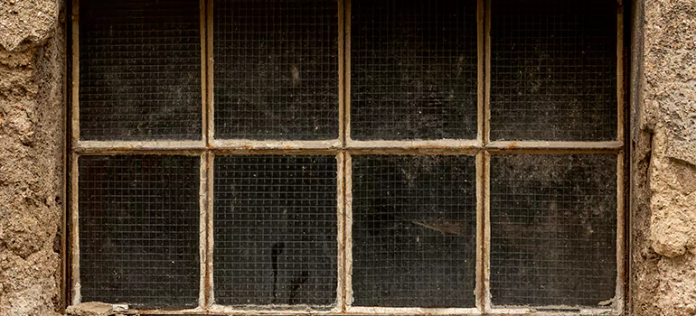 Traditional Double Front Doors in Citrus Park, FL