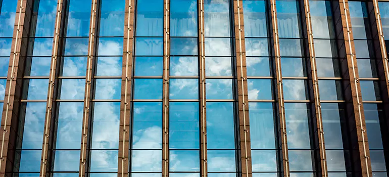 Professional Window Tinting Services in Citrus Park, FL