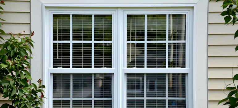 Custom Double Hung Windows in Citrus Park, FL