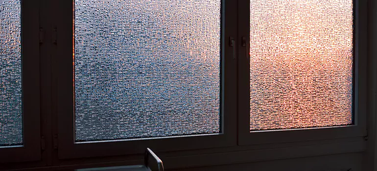 Frosted Glass Window Replacement in Citrus Park, FL