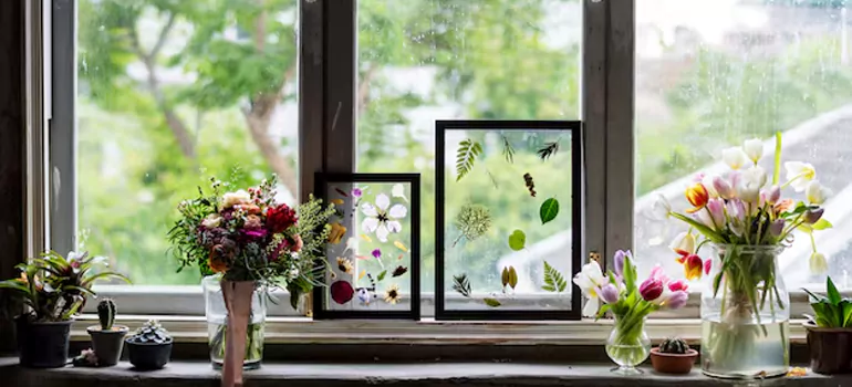 Professional Garden Window Repair in Citrus Park, FL