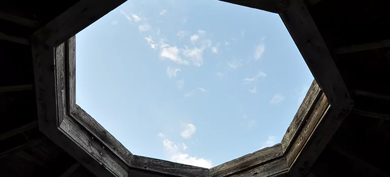 Octagon Window Installation Contractors in Citrus Park, FL