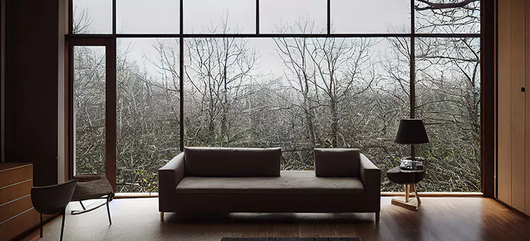 Casement Picture Window in Citrus Park, FL