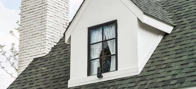 Roof Window Repair in Citrus Park, FL