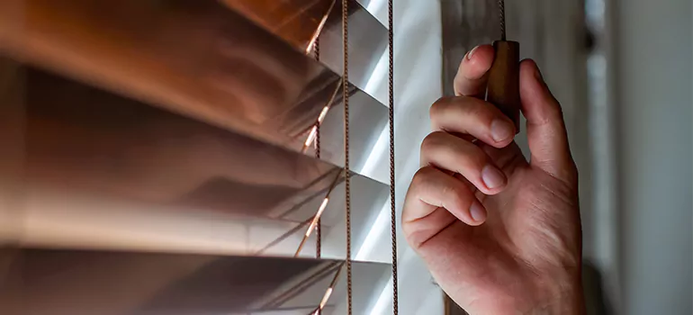 Double Roller Blinds in Citrus Park, FL