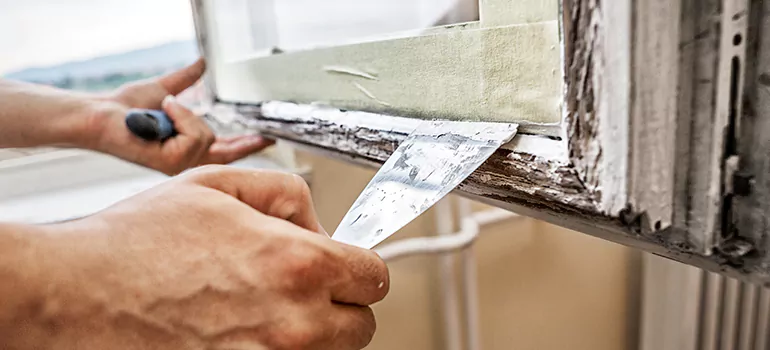 Exterior Window Frame Repair in Citrus Park, FL