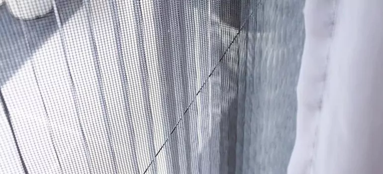 Fixing Screen Window Mesh in Citrus Park, FL
