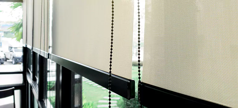 Blackout Window Shades in Citrus Park, FL