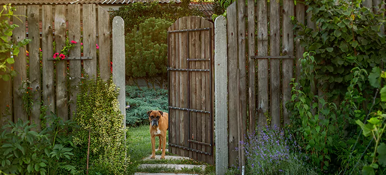 Winter Garden Garage Door Repair in Citrus Park,[location field=state]