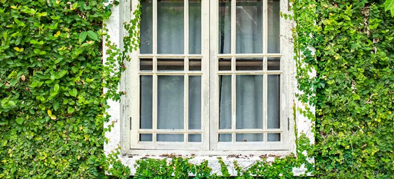 Garden Window Repair Near Me in Citrus Park, FL