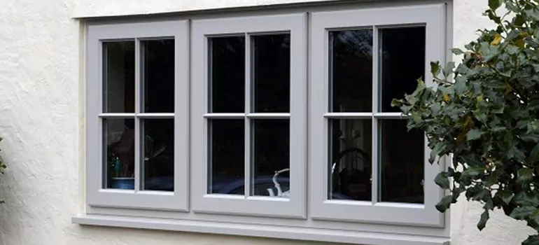 Stormproof Windows With Tinted Glass Services in Citrus Park, FL