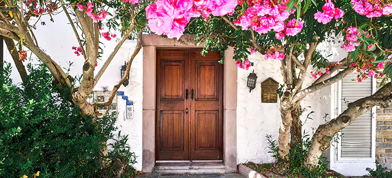 Traditional 4 Panel Internal Doors in Citrus Park, FL