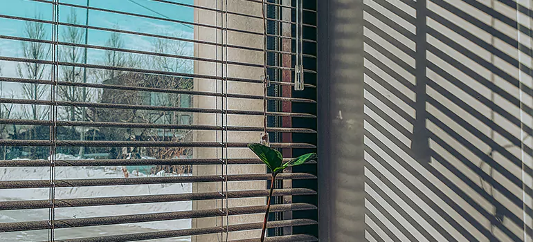 Commercial Window Blinds in Citrus Park, FL