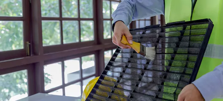 Traditional Window Grille Installation Options in Citrus Park, FL