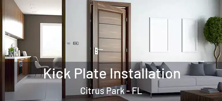 Kick Plate Installation Citrus Park - FL