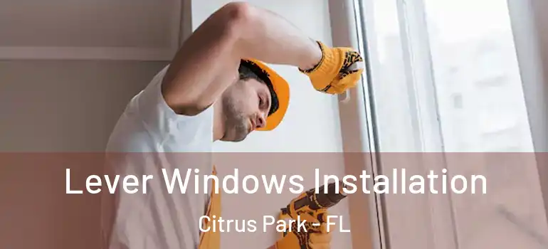 Lever Windows Installation Citrus Park - FL