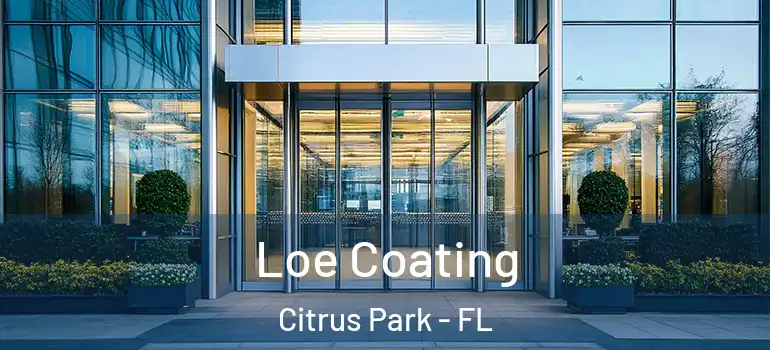 Loe Coating Citrus Park - FL