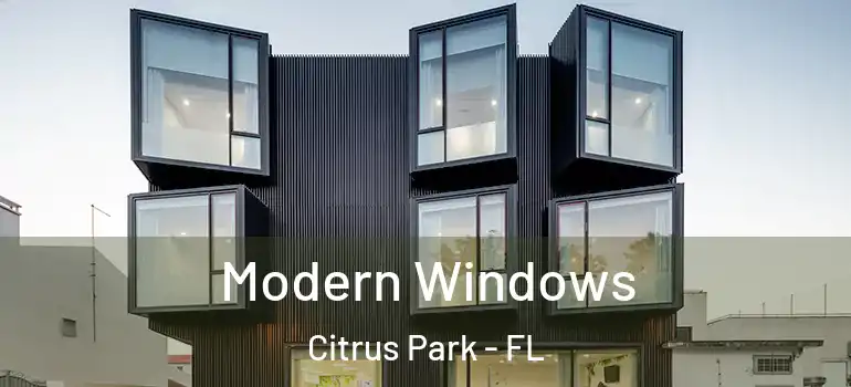 Modern Windows Citrus Park - FL