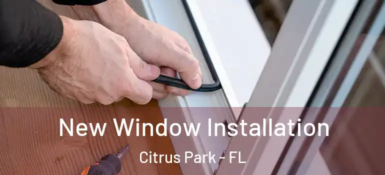 New Window Installation Citrus Park - FL