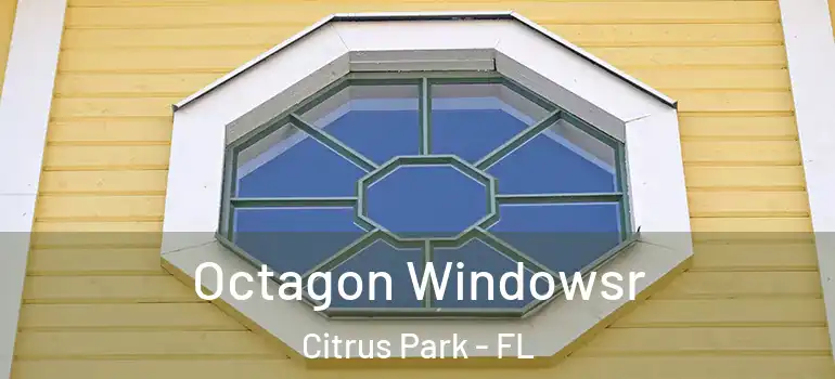 Octagon Windowsr Citrus Park - FL