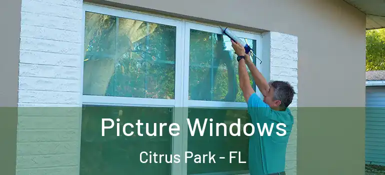Picture Windows Citrus Park - FL