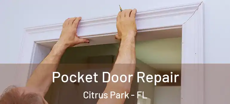 Pocket Door Repair Citrus Park - FL