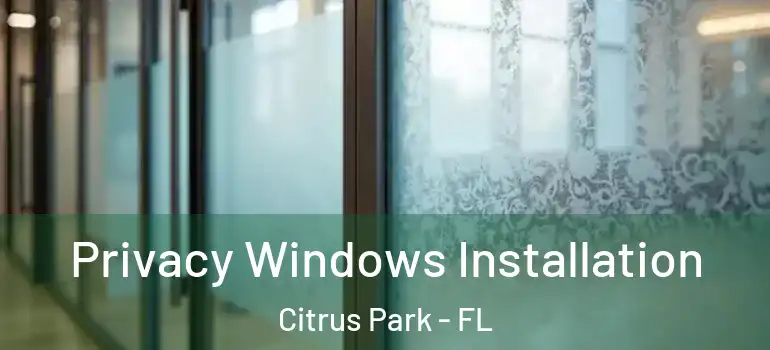 Privacy Windows Installation Citrus Park - FL
