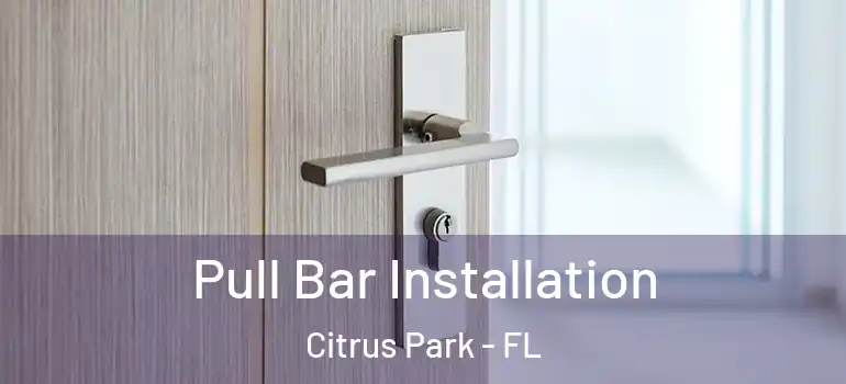 Pull Bar Installation Citrus Park - FL