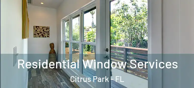 Residential Window Services Citrus Park - FL
