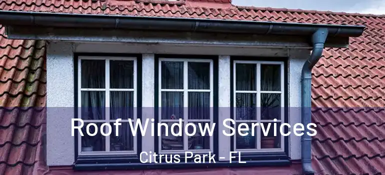 Roof Window Services Citrus Park - FL
