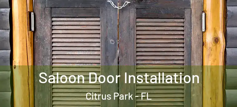 Saloon Door Installation Citrus Park - FL