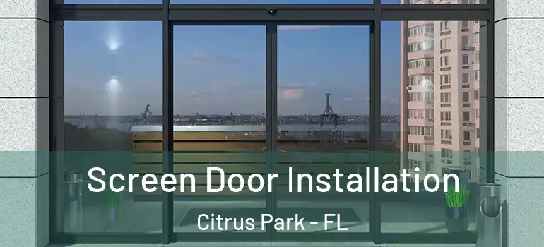 Screen Door Installation Citrus Park - FL