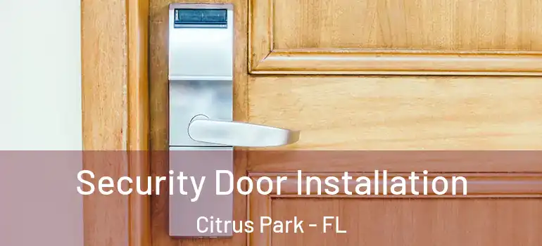 Security Door Installation Citrus Park - FL