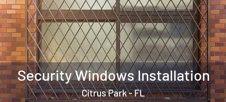 Security Windows Installation Citrus Park - FL