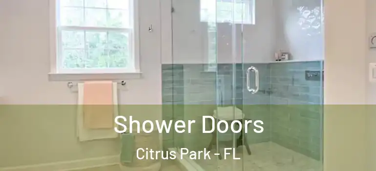 Shower Doors Citrus Park - FL