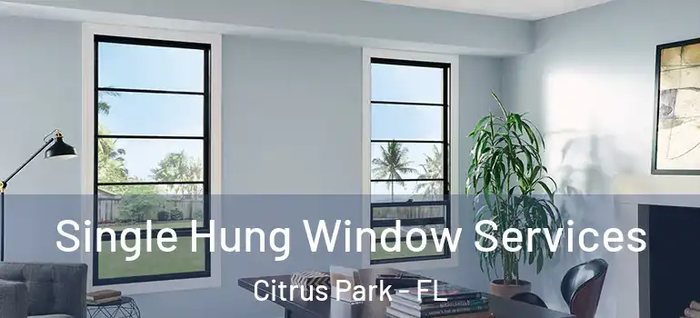 Single Hung Window Services Citrus Park - FL