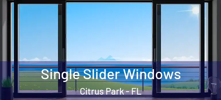 Single Slider Windows Citrus Park - FL