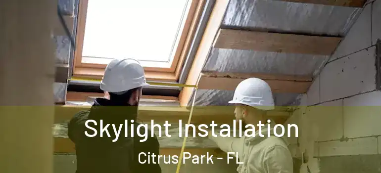 Skylight Installation Citrus Park - FL