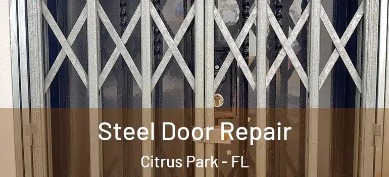 Steel Door Repair Citrus Park - FL