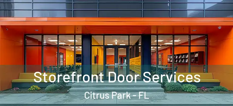 Storefront Door Services Citrus Park - FL