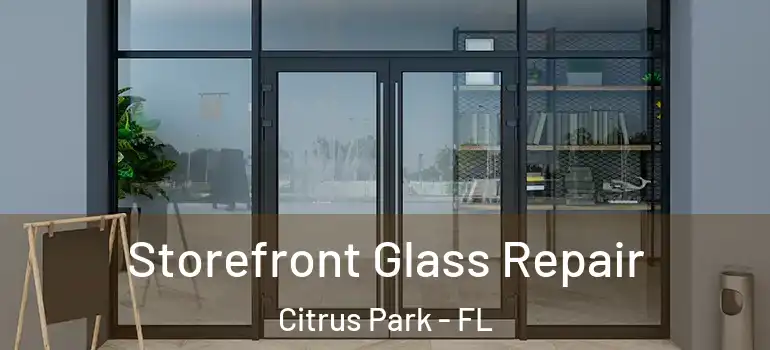 Storefront Glass Repair Citrus Park - FL
