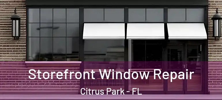 Storefront Window Repair Citrus Park - FL
