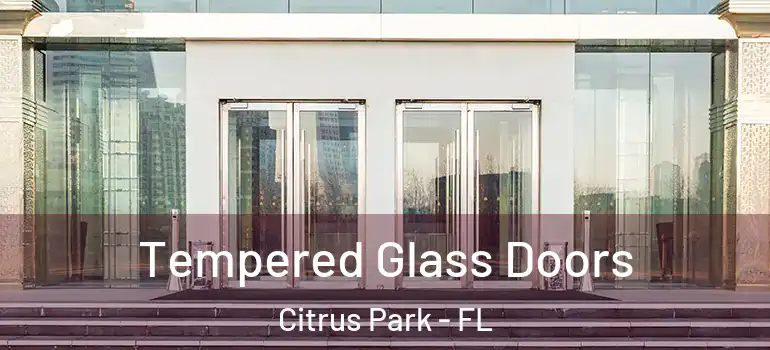 Tempered Glass Doors Citrus Park - FL