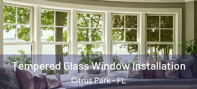 Tempered Glass Window Installation Citrus Park - FL