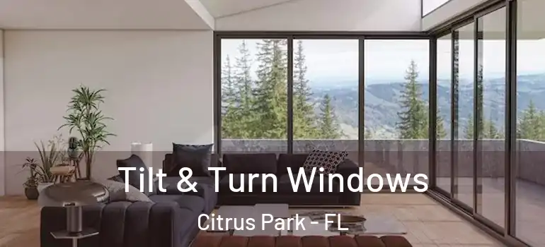 Tilt & Turn Windows Citrus Park - FL